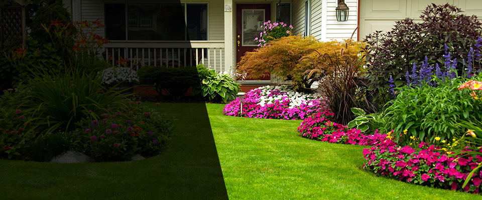 Byfield Landscapers