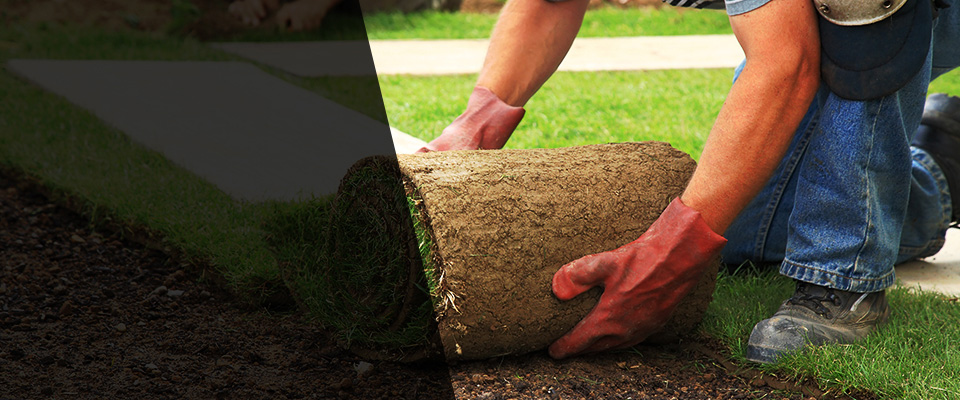 Byfield Landscapers